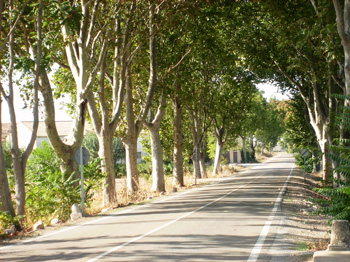 Carretera de Tudela